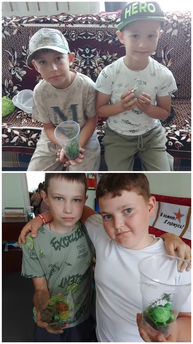 Экология